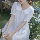 Chaton Retro Dress_A0302
