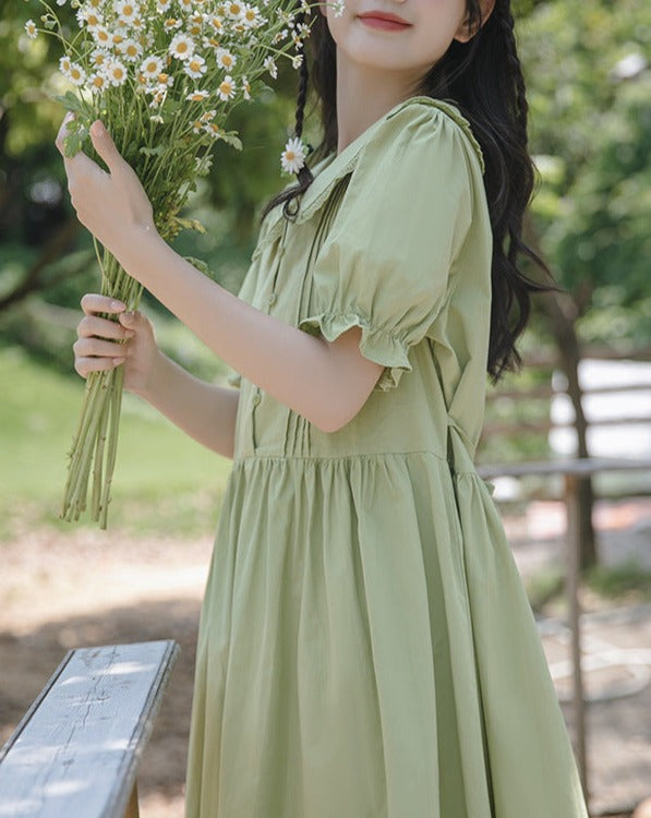 Chaton Retro Dress_A0302