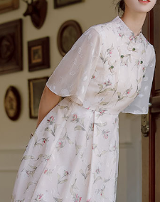 Hanaugi China Dress_A0168