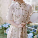 Hanaugi China Dress_A0168