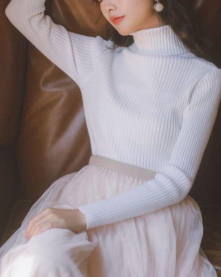 Fig turtleneck_X0123
