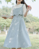 菊苣毛衣裙_A0293